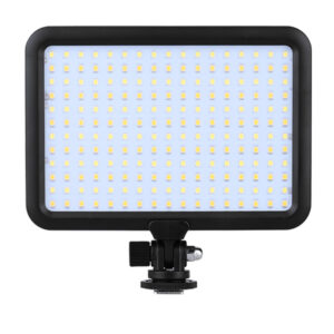 Portable video light